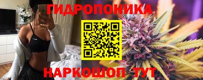 синтетический гашиш Камышлов
